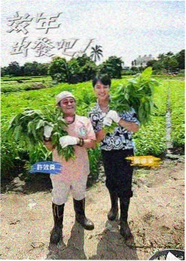 金牌影院奔跑吧